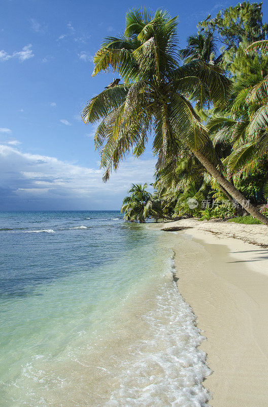 Ranguana Cay海滩场景